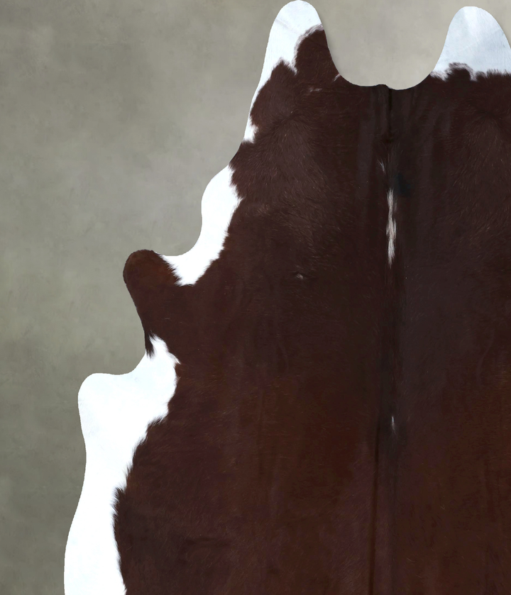 Brown and White Regular XX-Large Brazilian Cowhide Rug 8'6"H x 7'4"W #B19993 by Hudson Hides