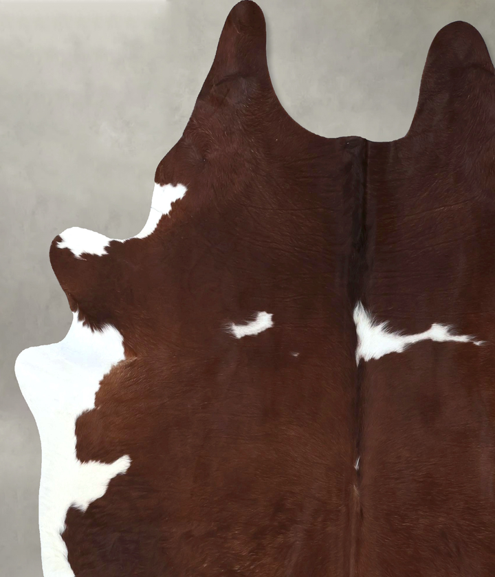 Brown and White XX-Large Brazilian Cowhide Rug 7'7"H x 6'7"W #B19997 by Hudson Hides
