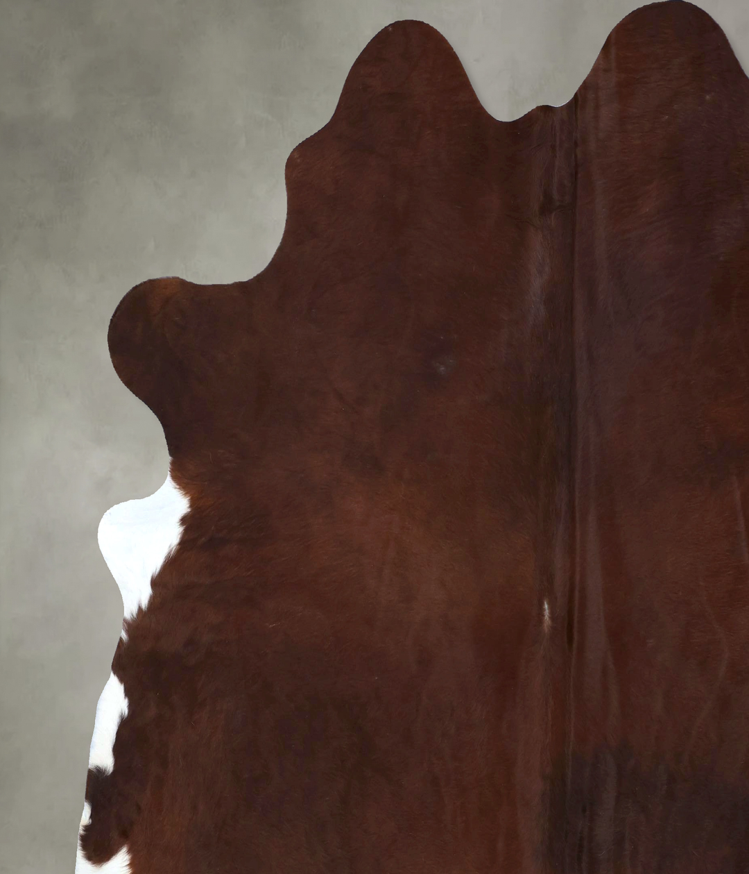 Brown and White Regular XX-Large Brazilian Cowhide Rug 7'7"H x 7'3"W #