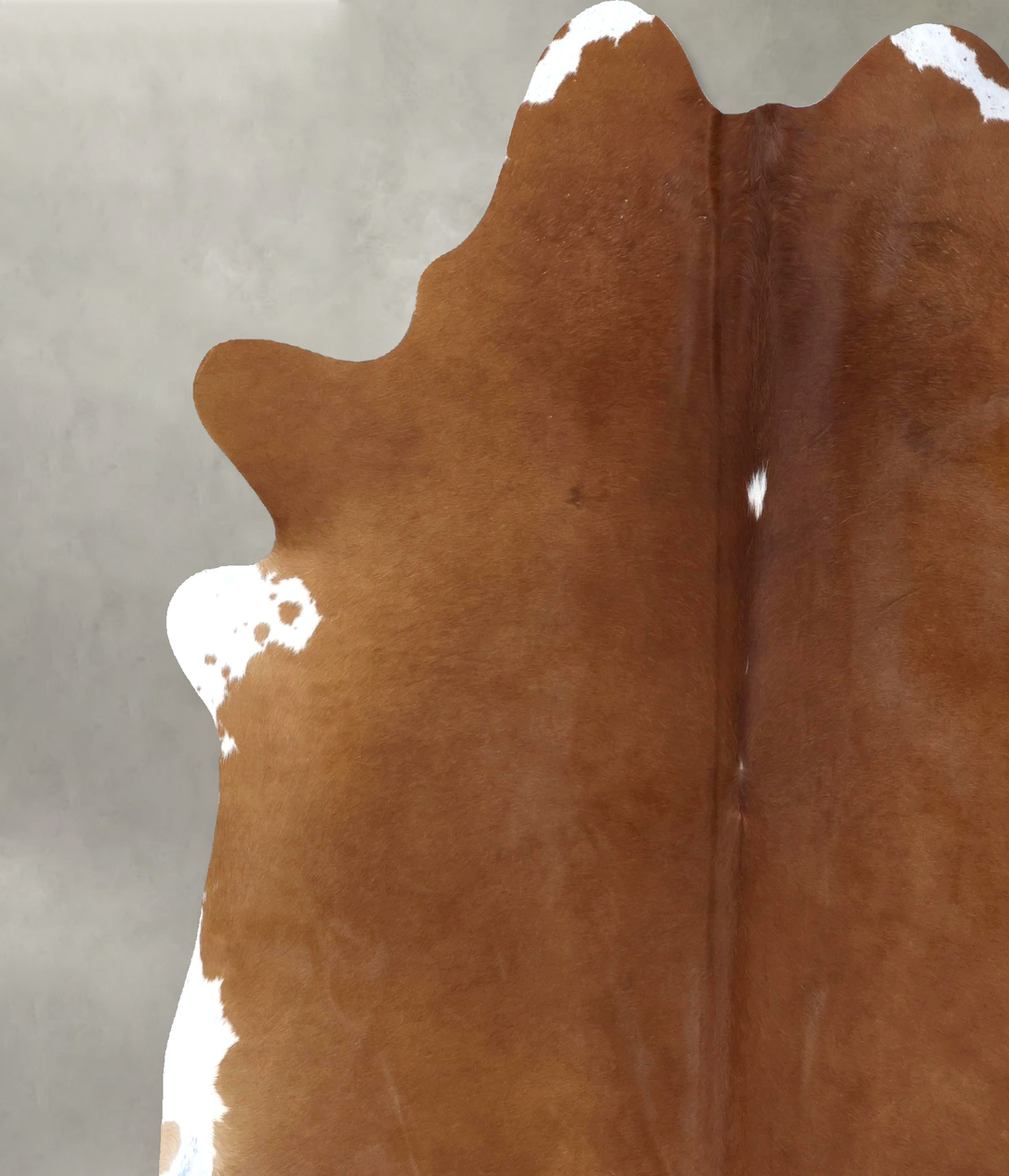 Brown and White Regular XX-Large Brazilian Cowhide Rug 8'1"H x 6'11"W