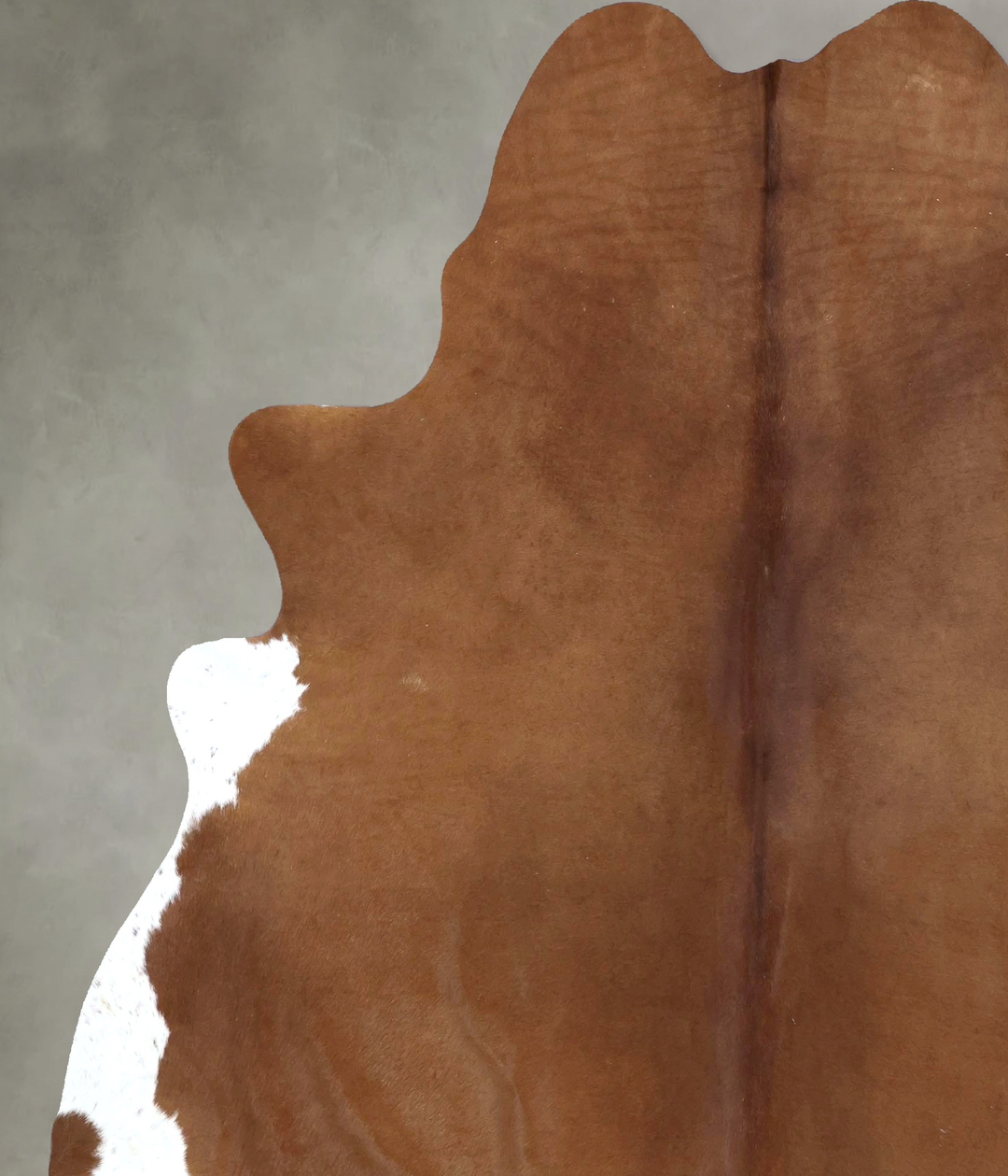 Brown and White Regular XX-Large Brazilian Cowhide Rug 7'8"H x 6'7"W #