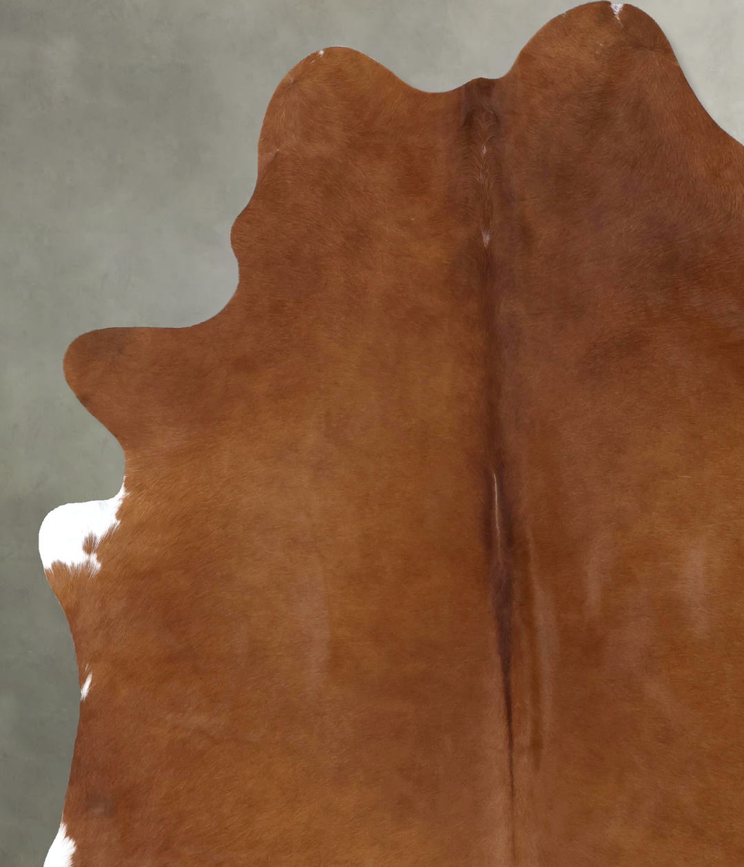 Brown and White Regular XX-Large Brazilian Cowhide Rug 7'9"H x 6'8"W #