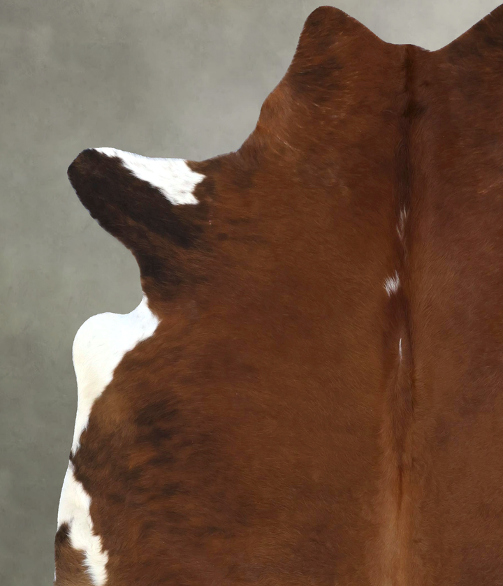 Medium Brindle XX-Large Brazilian Cowhide Rug 7'10"H x 7'1"W #B20136 by Hudson Hides