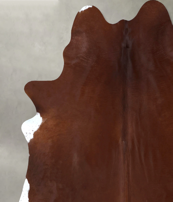 Brown and White Regular XX-Large Brazilian Cowhide Rug 7'9"H x 7'1"W #B20146 by Hudson Hides