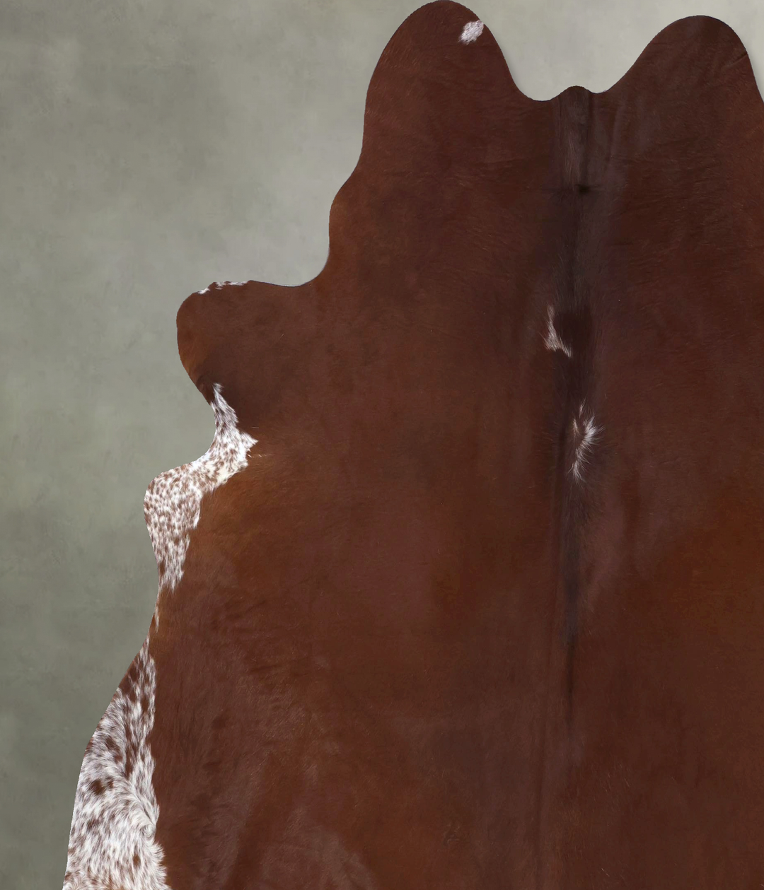 Brown and White Regular XX-Large Brazilian Cowhide Rug 7'7"H x 7'3"W #