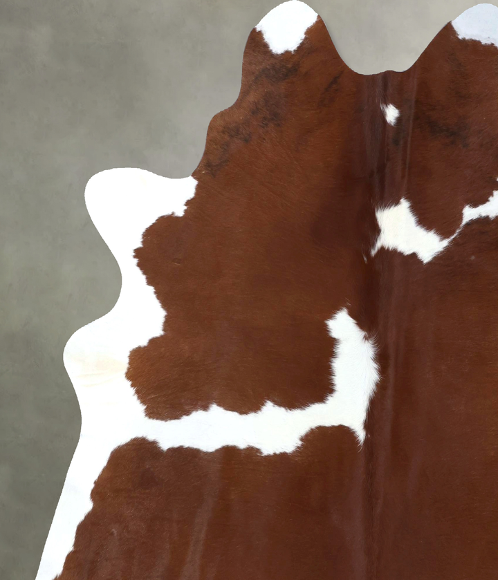 Brown and White X-Large Brazilian Cowhide Rug 7'3"H x 6'8"W #B20155 by Hudson Hides