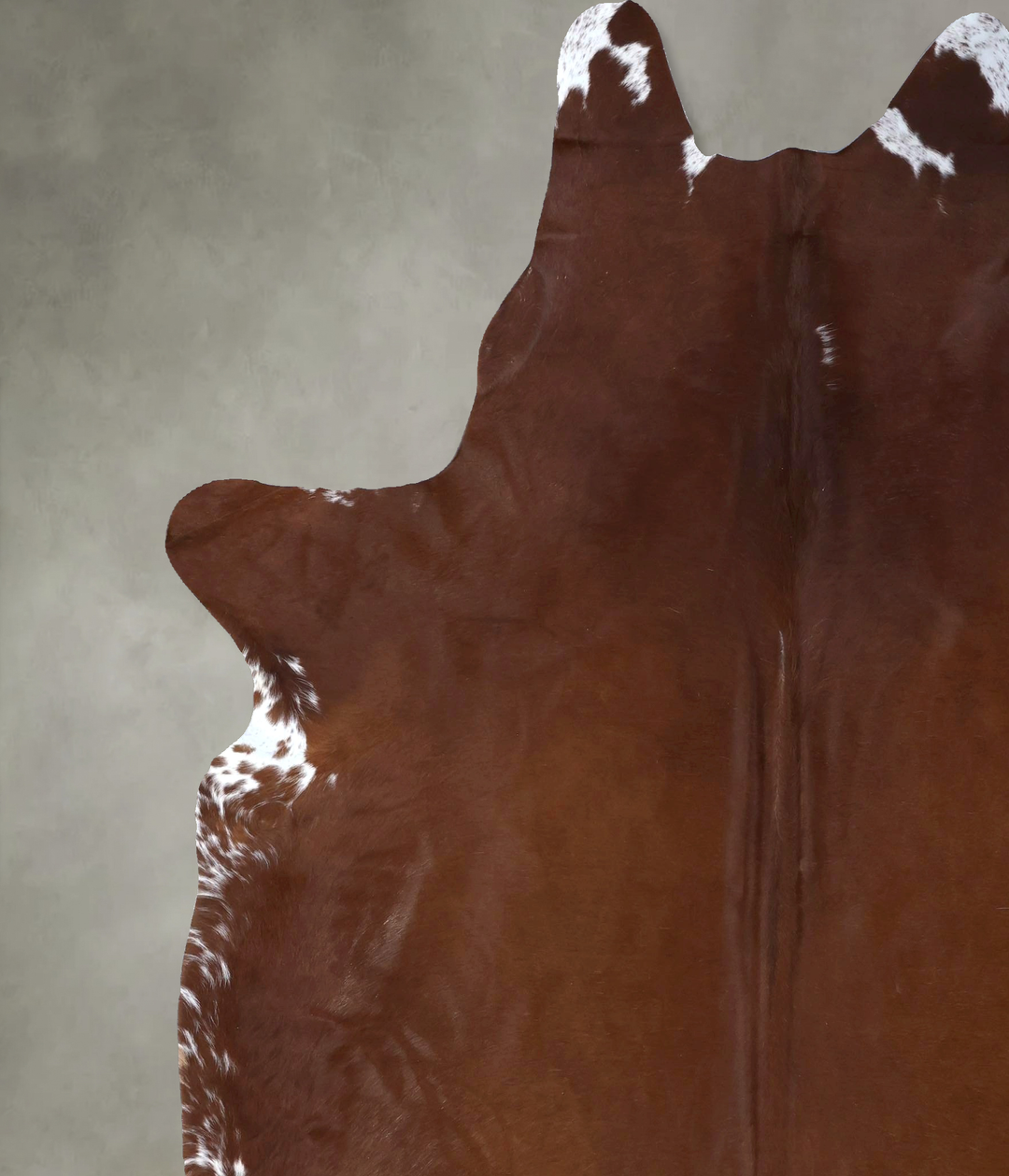 Brown and White Regular XX-Large Brazilian Cowhide Rug 8'4"H x 7'0"W #