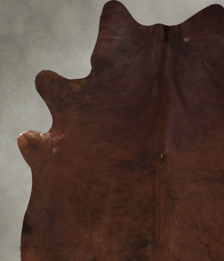 Medium Brindle XX-Large Brazilian Cowhide Rug 7'11"H x 7'0"W #B20180 by Hudson Hides