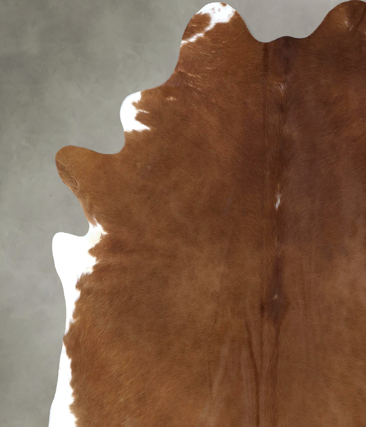 Brown and White Regular XX-Large Brazilian Cowhide Rug 8'9"H x 7'8"W #B20185 by Hudson Hides