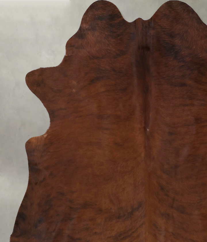 Medium Brindle XX-Large Brazilian Cowhide Rug 7'3"H x 6'10"W #B20192 by Hudson Hides