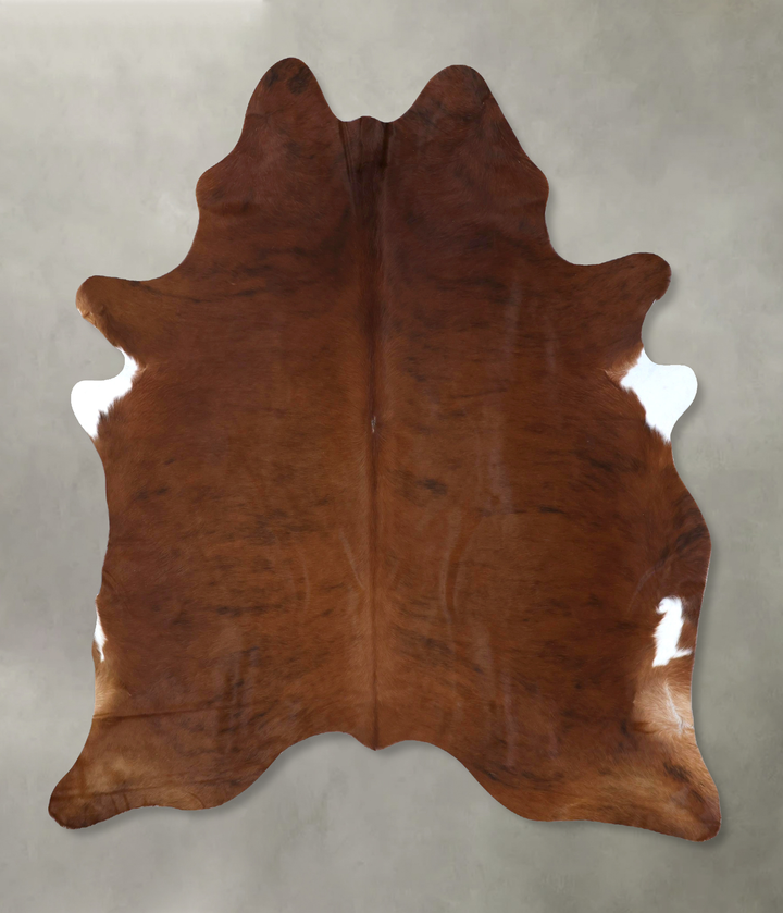 Medium Brindle X-Large Brazilian Cowhide Rug 7'7"H x 6'5"W #B20200 by Hudson Hides
