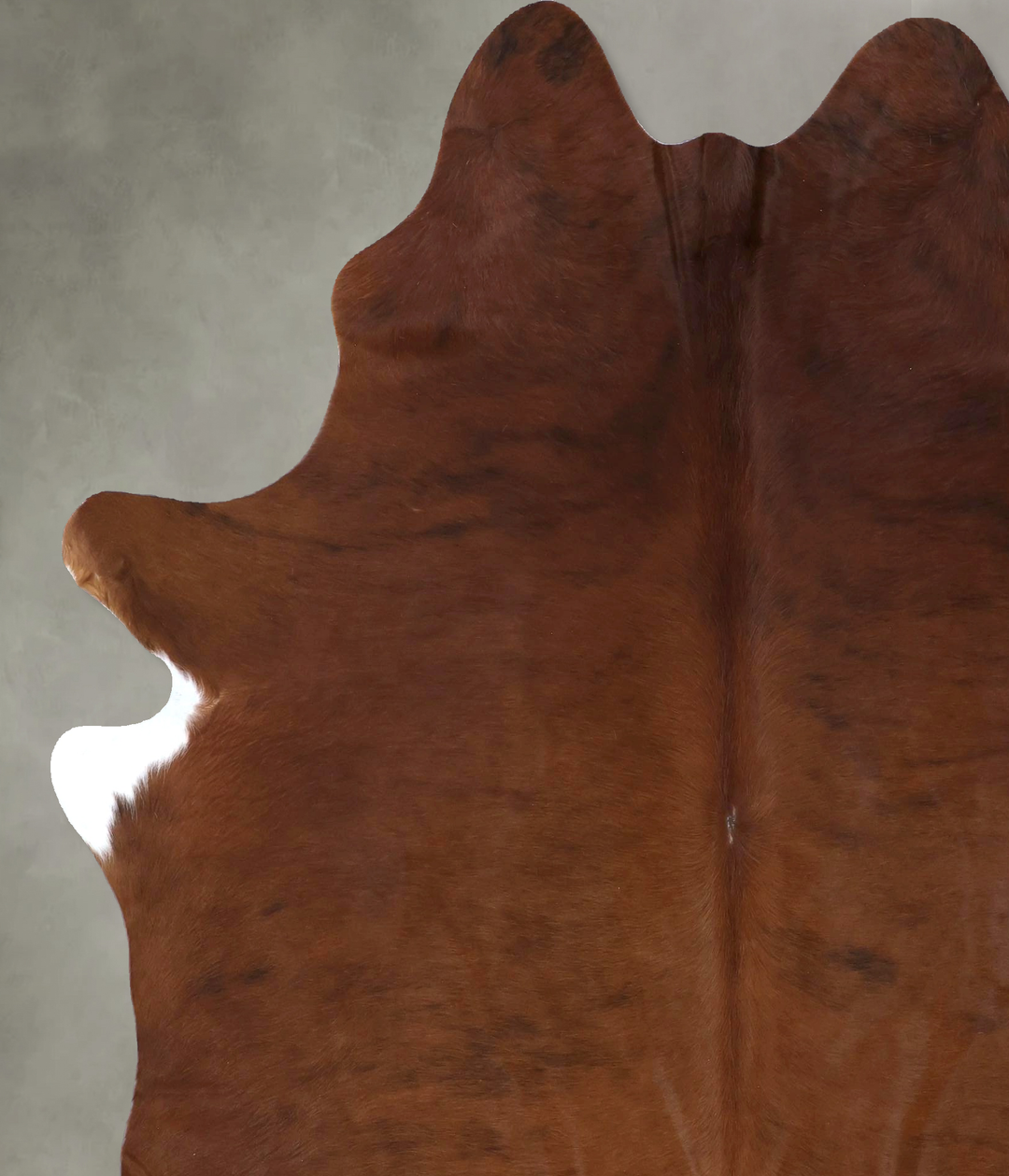 Medium Brindle X-Large Brazilian Cowhide Rug 7'7"H x 6'5"W #B20200 by