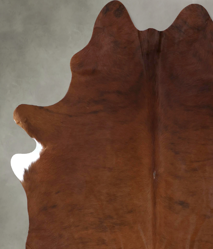 Medium Brindle X-Large Brazilian Cowhide Rug 7'7"H x 6'5"W #B20200 by Hudson Hides
