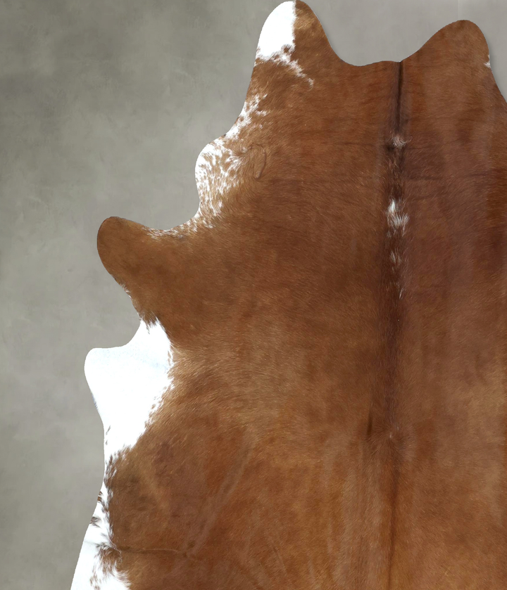 Brown and White Regular XX-Large Brazilian Cowhide Rug 8'1"H x 6'10"W #B20236 by Hudson Hides