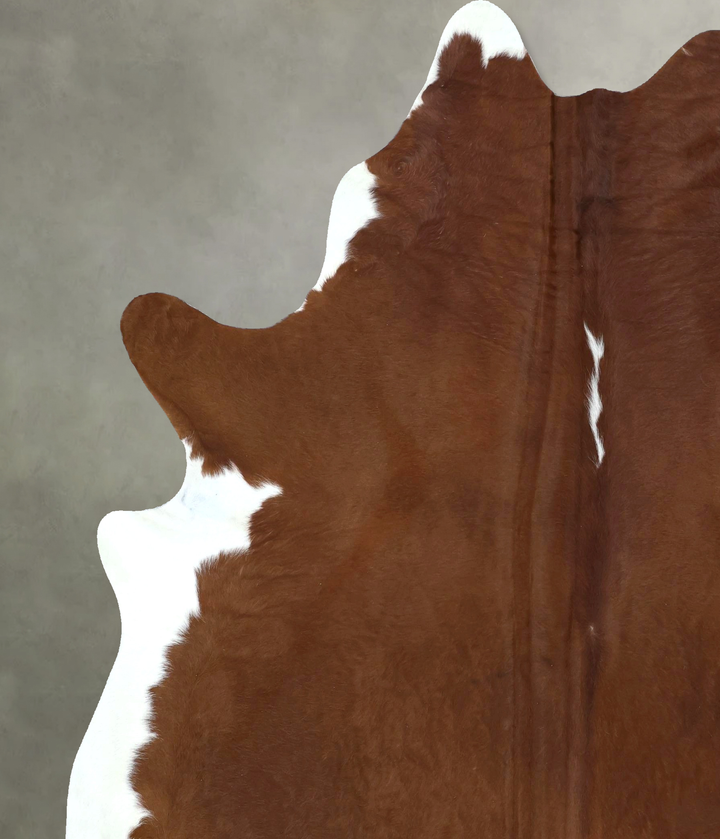 Brown and White Regular XX-Large Brazilian Cowhide Rug 8'0"H x 7'0"W #B20245 by Hudson Hides