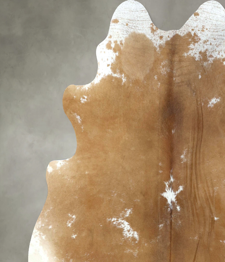 Brown and White Regular XX-Large Brazilian Cowhide Rug 7'10"H x 7'3"W #B20286 by Hudson Hides