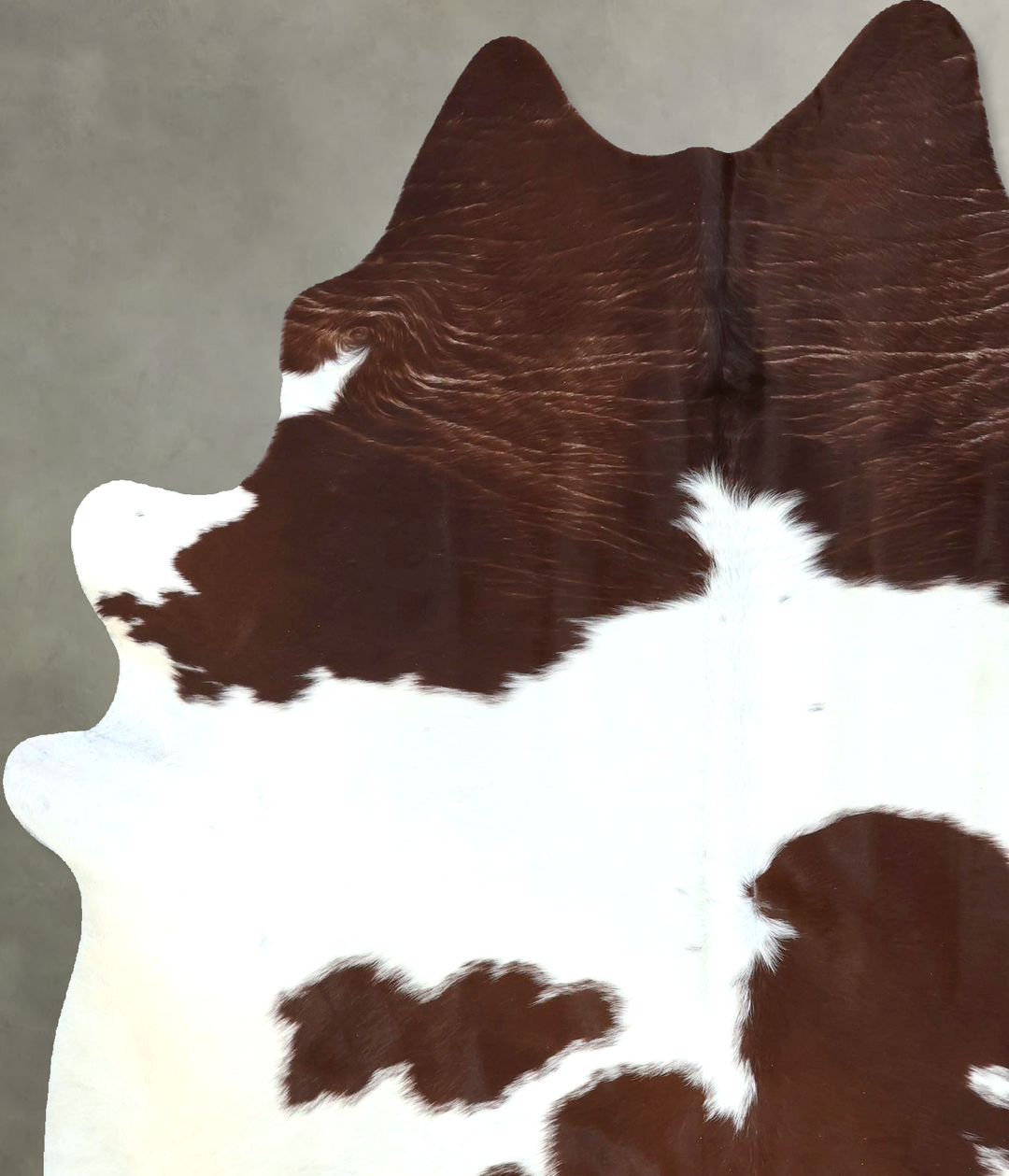 Brown and White X-Large Brazilian Cowhide Rug 7'7"H x 5'11"W #B20292 b