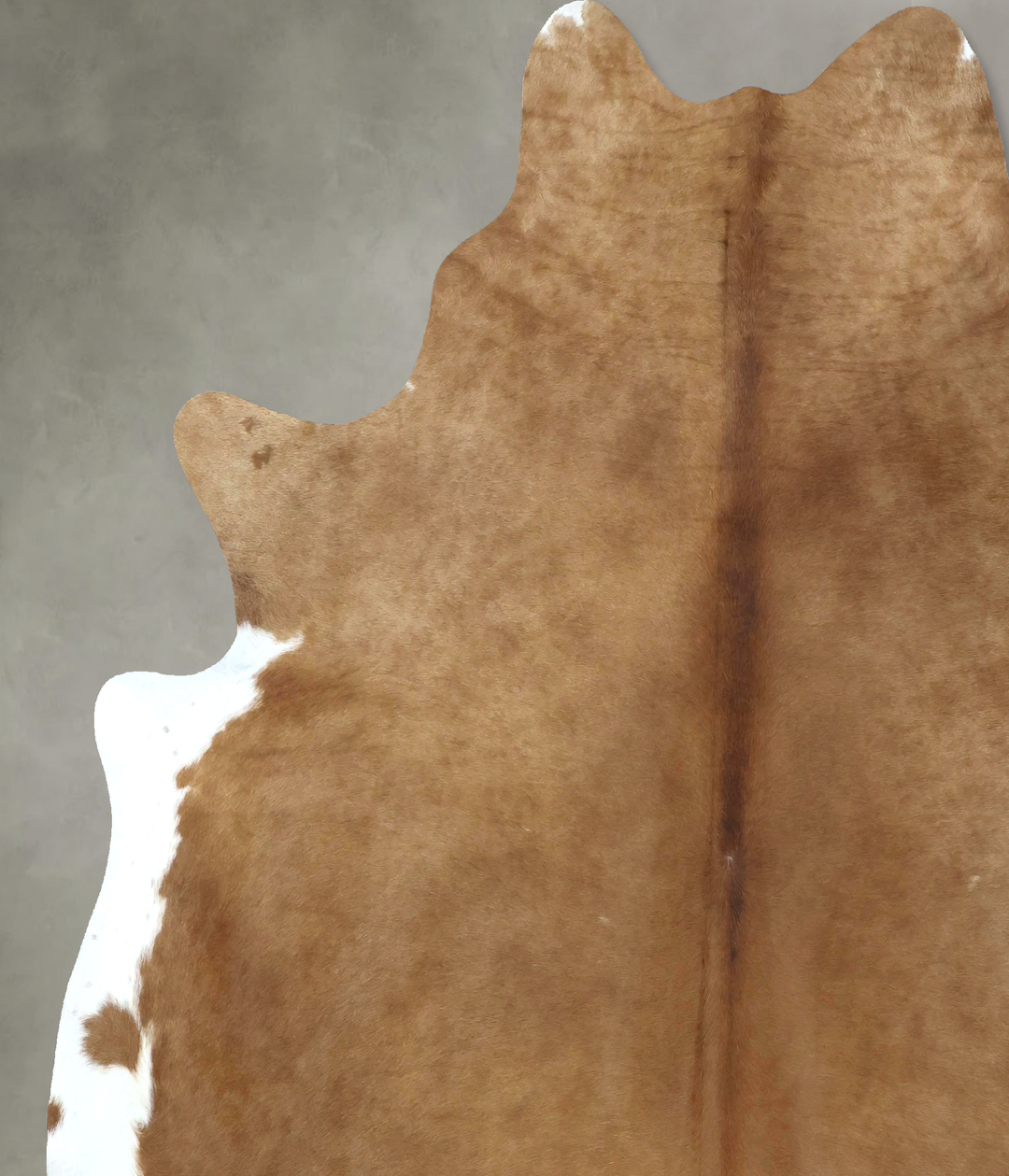 Brown and White Regular XX-Large Brazilian Cowhide Rug 8'3"H x 7'1"W #