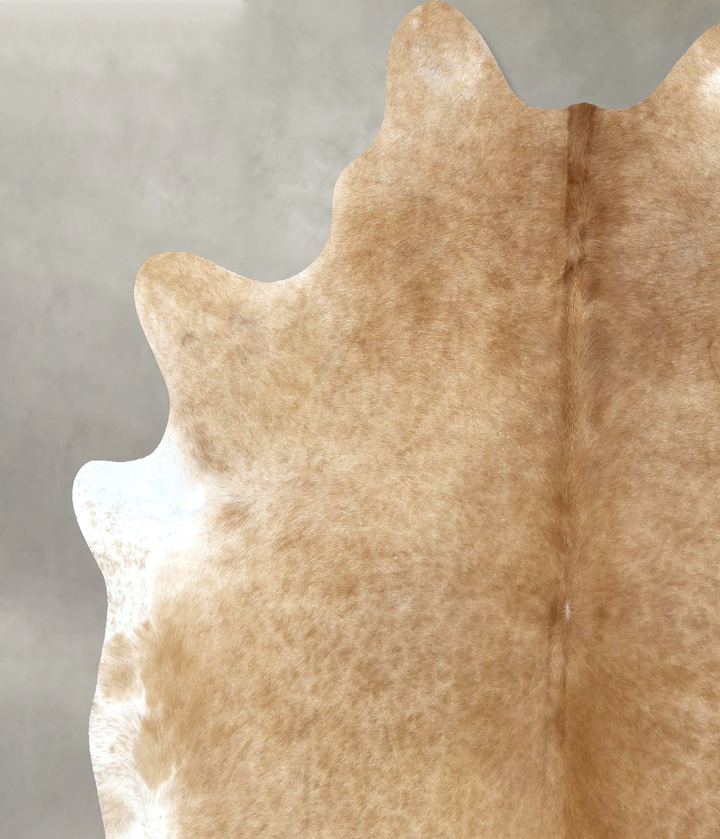 Beige XX-Large Brazilian Cowhide Rug 7'8"H x 6'9"W #B20302 by Hudson Hides