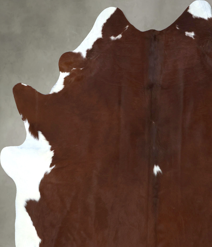 Brown and White Regular XX-Large Brazilian Cowhide Rug 8'7"H x 7'0"W #B20323 by Hudson Hides