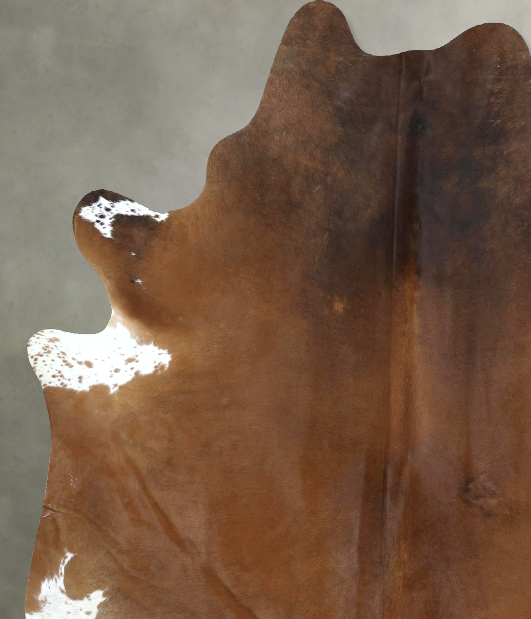 Brown and White Regular X-Large Brazilian Cowhide Rug 7'5"H x 6'4"W #B