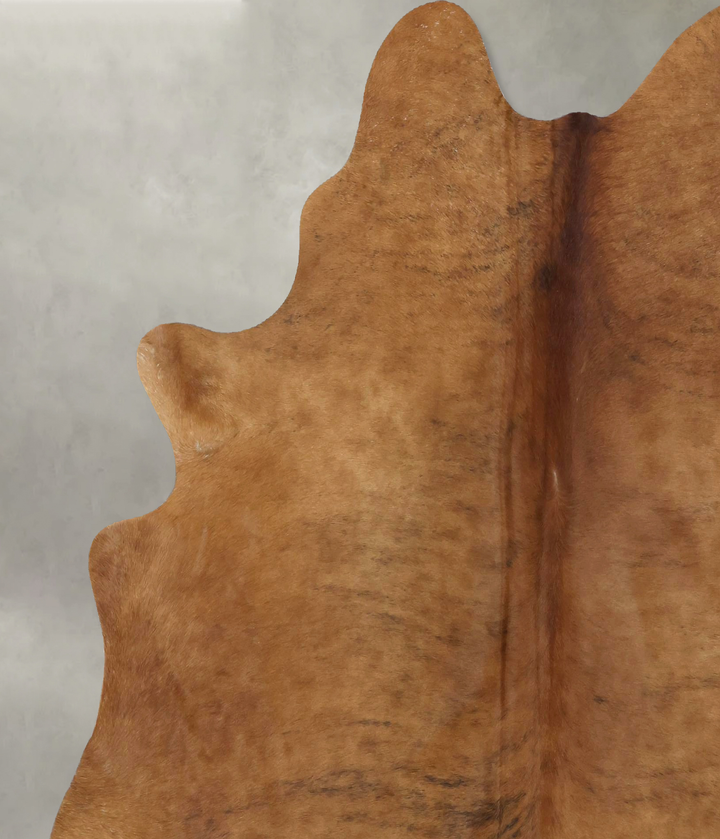 Medium Brindle X-Large Brazilian Cowhide Rug 7'3"H x 6'5"W #B20342 by Hudson Hides