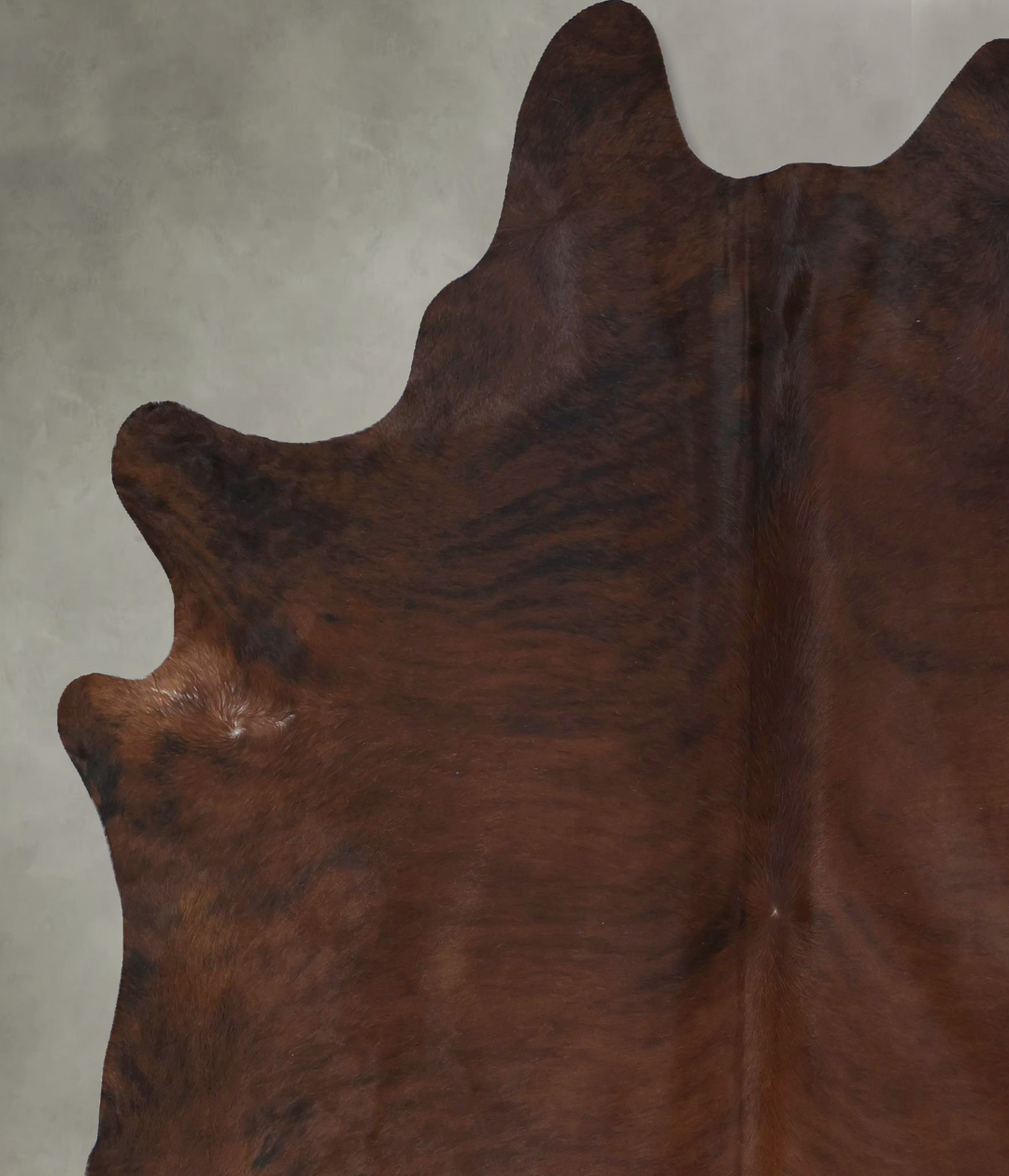 Medium Brindle XX-Large Brazilian Cowhide Rug 8'4"H x 6'10"W #B20343 b