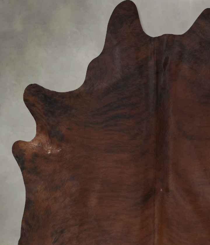 Medium Brindle XX-Large Brazilian Cowhide Rug 8'4"H x 6'10"W #B20343 by Hudson Hides