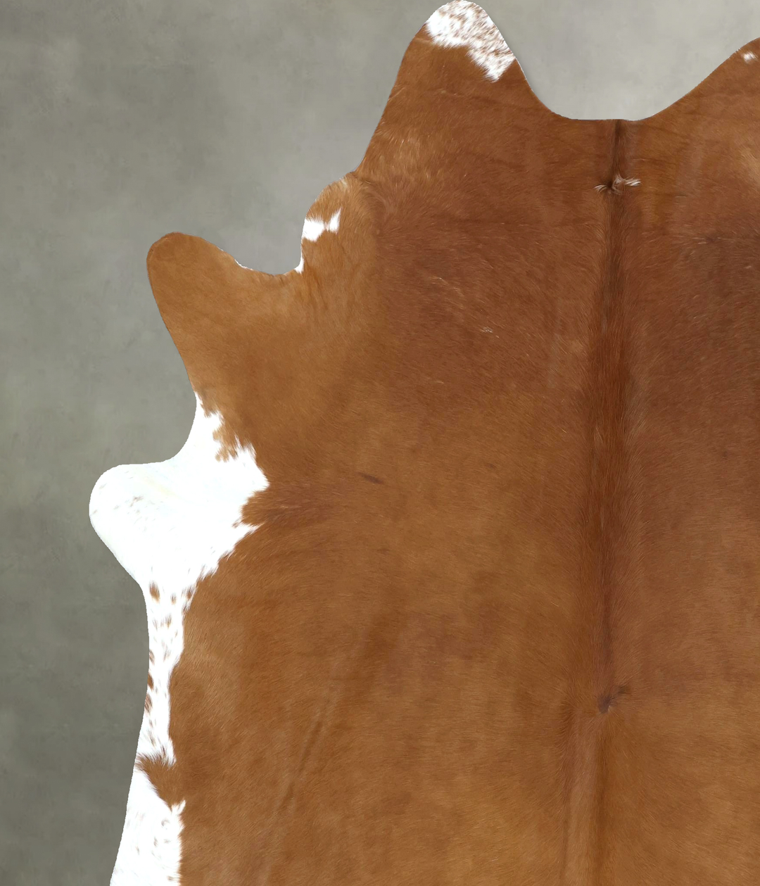 Brown and White Regular XX-Large Brazilian Cowhide Rug 8'1"H x 6'11"W