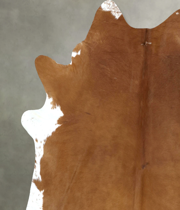 Brown and White Regular XX-Large Brazilian Cowhide Rug 8'1"H x 6'11"W #B20347 by Hudson Hides