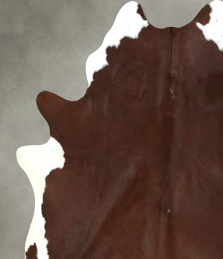 Brown and White Regular XX-Large Brazilian Cowhide Rug 8'3"H x 6'8"W #B20371 by Hudson Hides