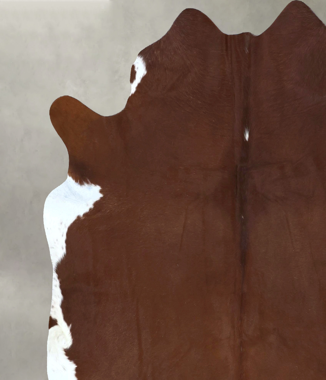 Brown and White Regular X-Large Brazilian Cowhide Rug 7'0"H x 6'8"W #B