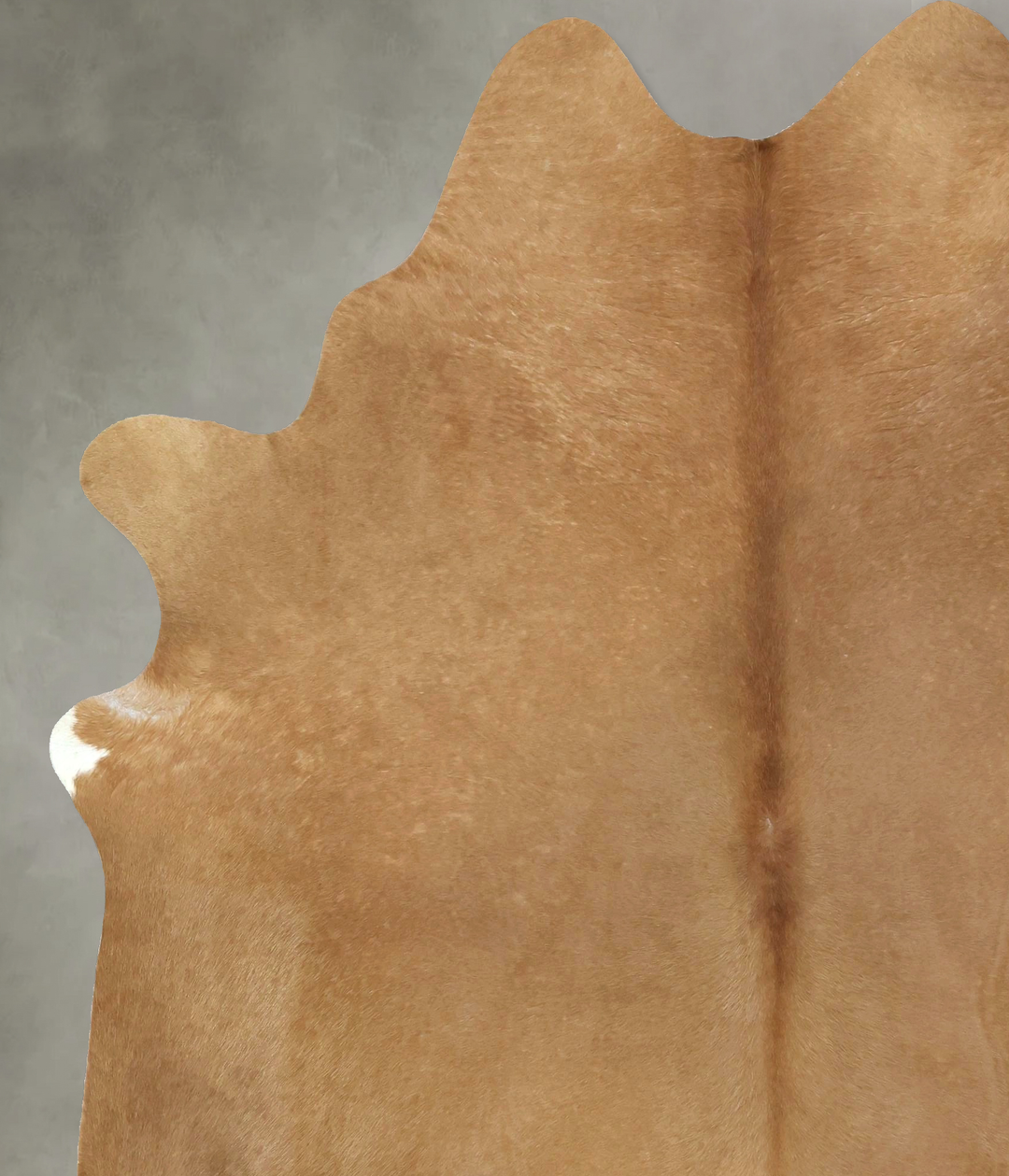 Beige XX-Large Brazilian Cowhide Rug 8'3"H x 6'7"W #B20395 by Hudson H