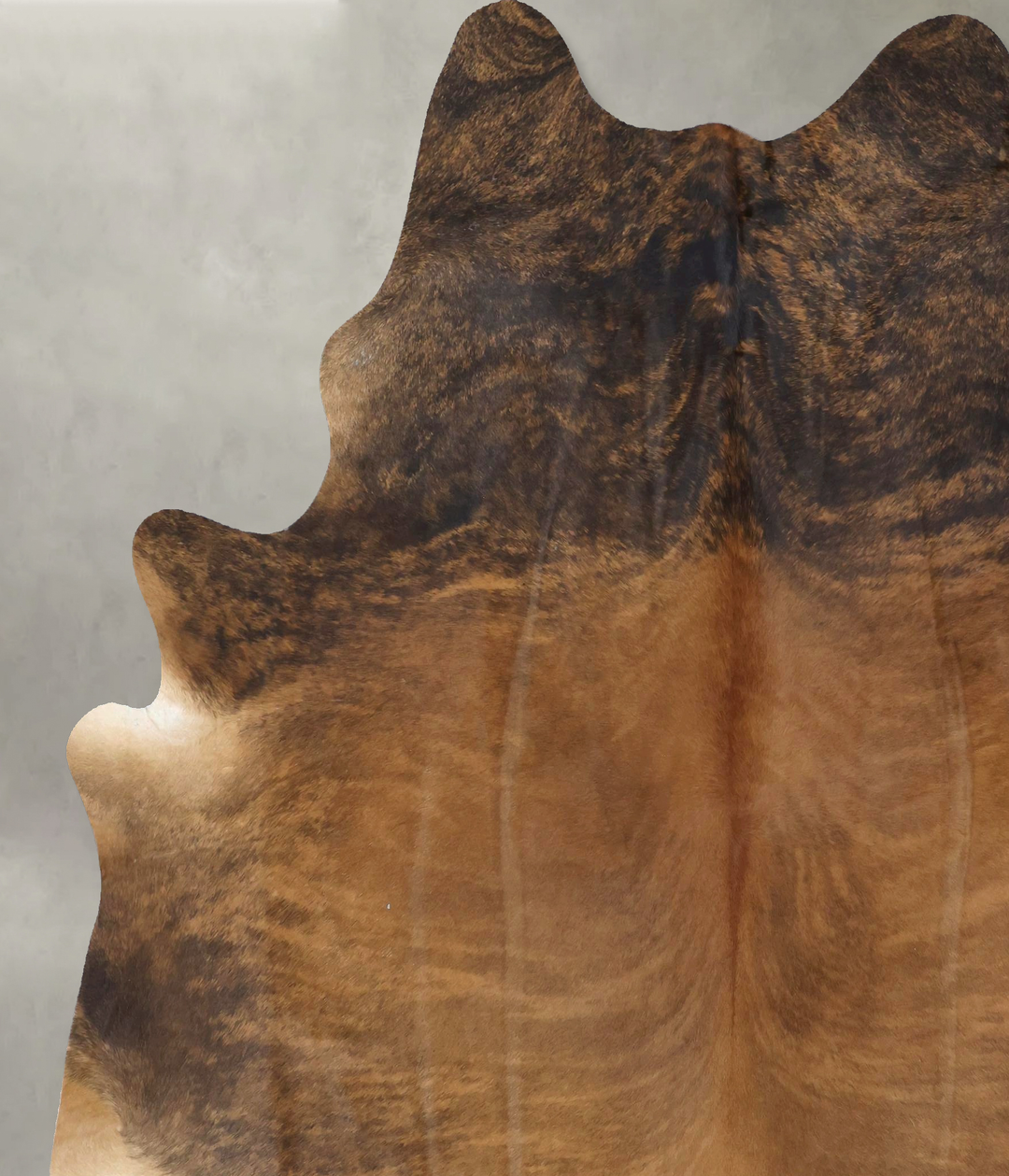 Medium Brindle XX-Large Brazilian Cowhide Rug 8'6"H x 7'0"W #B20402 by