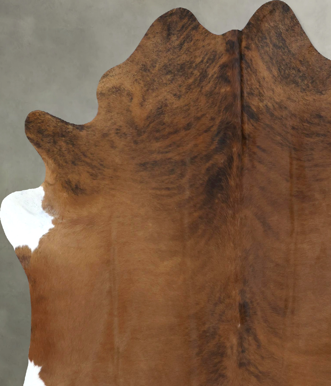 Medium Brindle X-Large Brazilian Cowhide Rug 7'3"H x 5'11"W #B20410 by