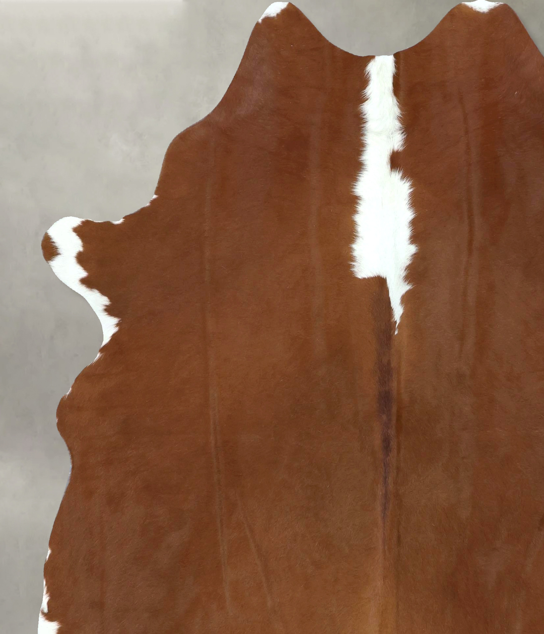 Brown and White Regular XX-Large Brazilian Cowhide Rug 7'9"H x 6'6"W #