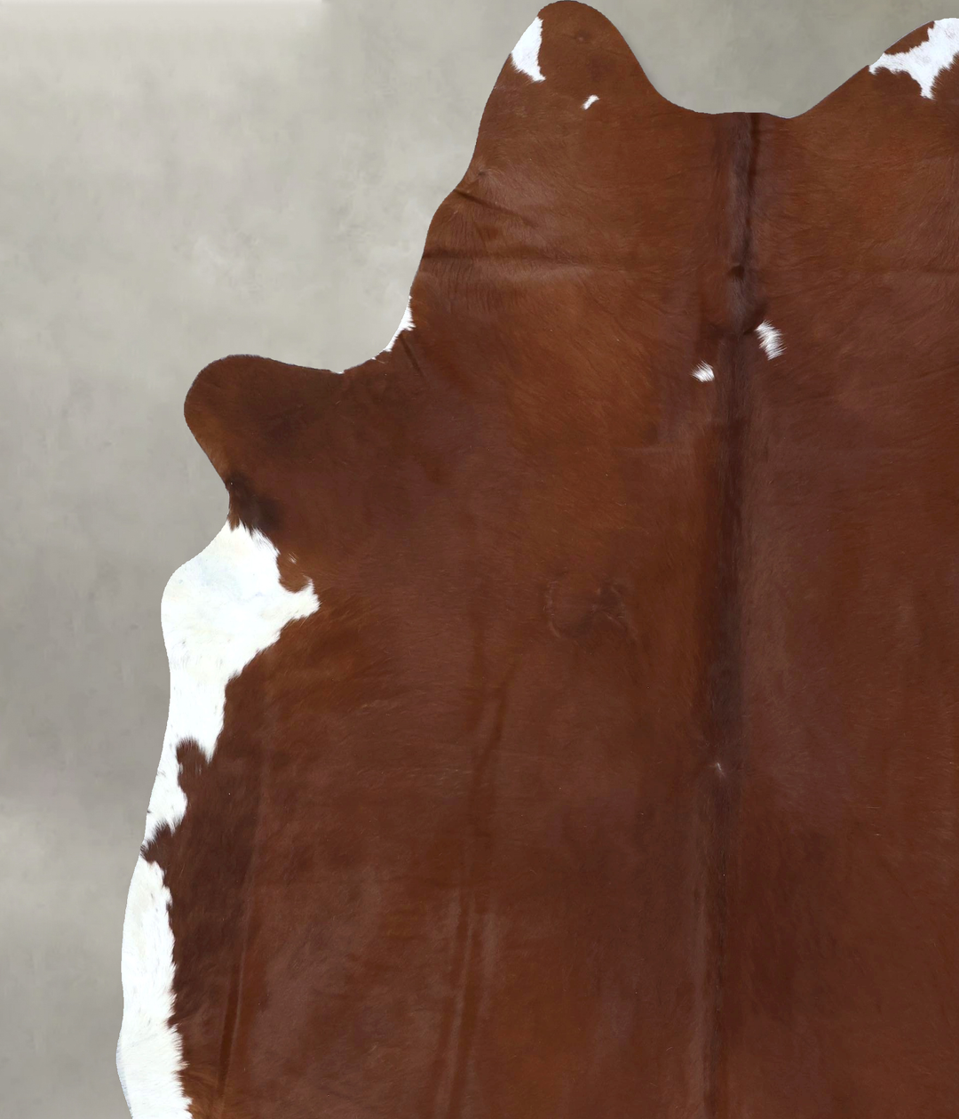Brown and White Regular XX-Large Brazilian Cowhide Rug 8'9"H x 7'6"W #