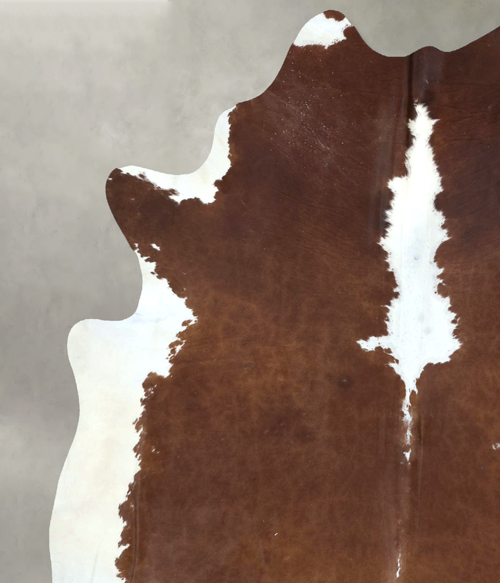 Brown and White Regular XX-Large Brazilian Cowhide Rug 8'10"H x 7'3"W #B20423 by Hudson Hides