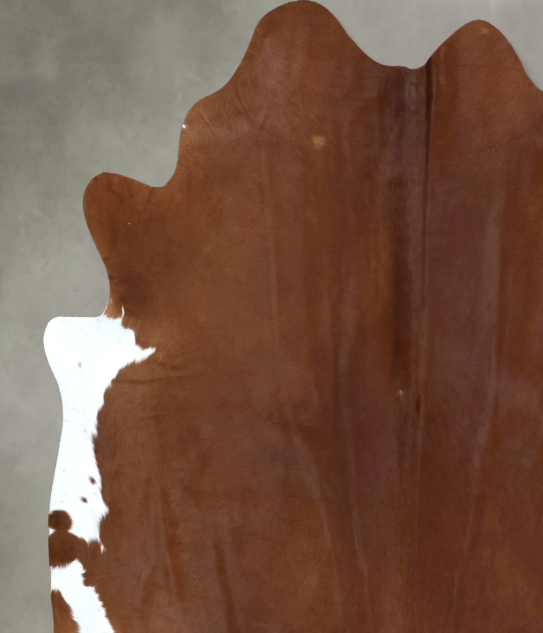 Brown and White Regular XX-Large Brazilian Cowhide Rug 7'11"H x 7'3"W