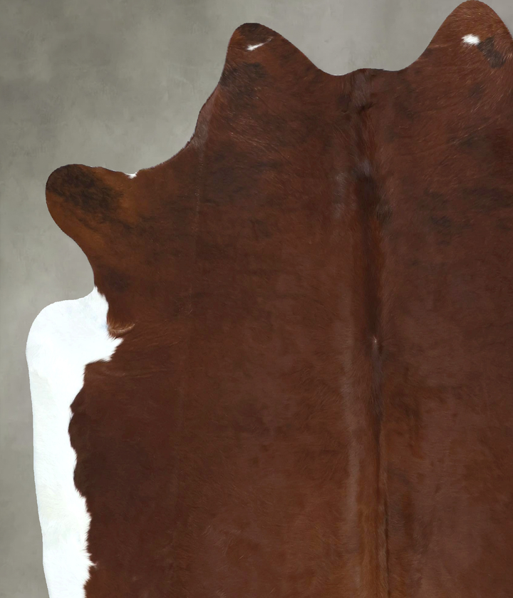 Brown and White Regular X-Large Brazilian Cowhide Rug 7'3"H x 6'7"W #B20460 by Hudson Hides