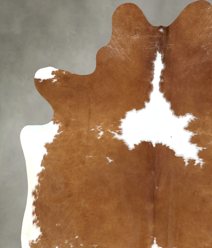 Brown and White XX-Large Brazilian Cowhide Rug 8'2"H x 6'11"W #B20488 by Hudson Hides