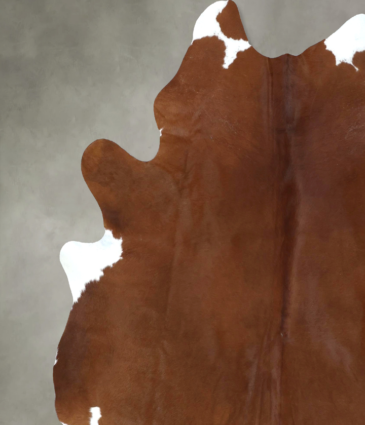 Brown and White Regular XX-Large Brazilian Cowhide Rug 8'2"H x 6'7"W #B20510 by Hudson Hides