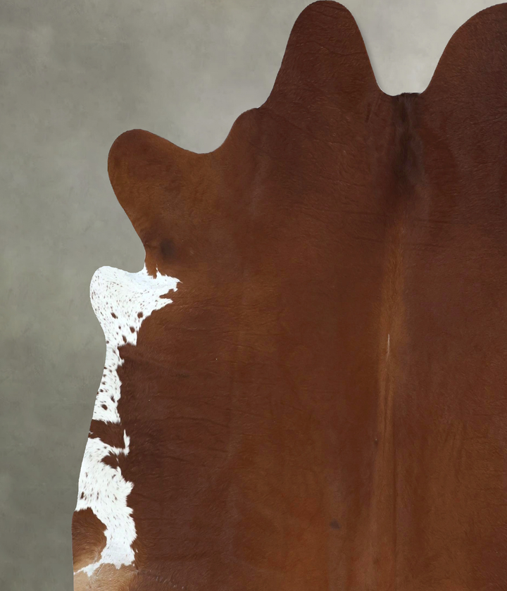 Brown and White Regular XX-Large Brazilian Cowhide Rug 7'11"H x 7'4"W #B20512 by Hudson Hides