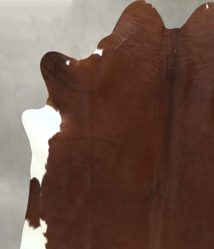 Brown and White Regular X-Large Brazilian Cowhide Rug 7'2"H x 6'1"W #B20528 by Hudson Hides