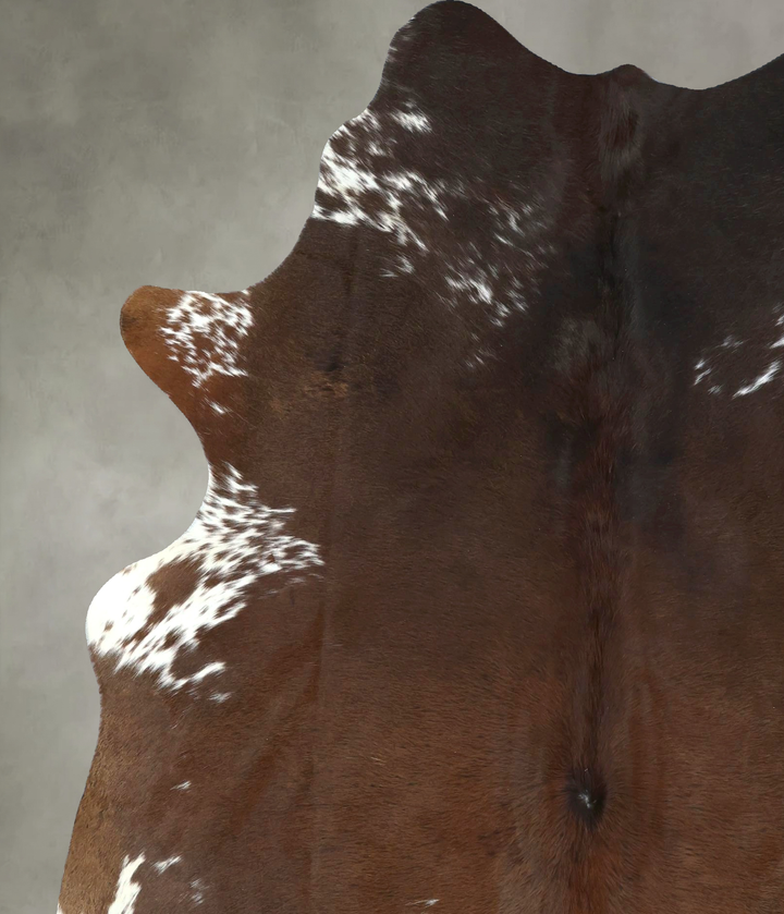 Brown and White Regular X-Large Brazilian Cowhide Rug 7'7"H x 6'3"W #B20581 by Hudson Hides