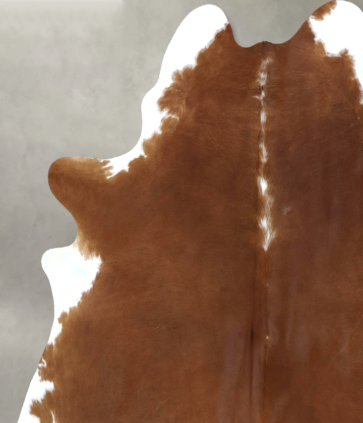 Brown and White Regular XX-Large Brazilian Cowhide Rug 7'8"H x 6'7"W #B20590 by Hudson Hides