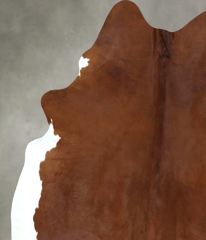 Brown and White Regular X-Large Brazilian Cowhide Rug 7'11"H x 6'2"W #B20766 by Hudson Hides
