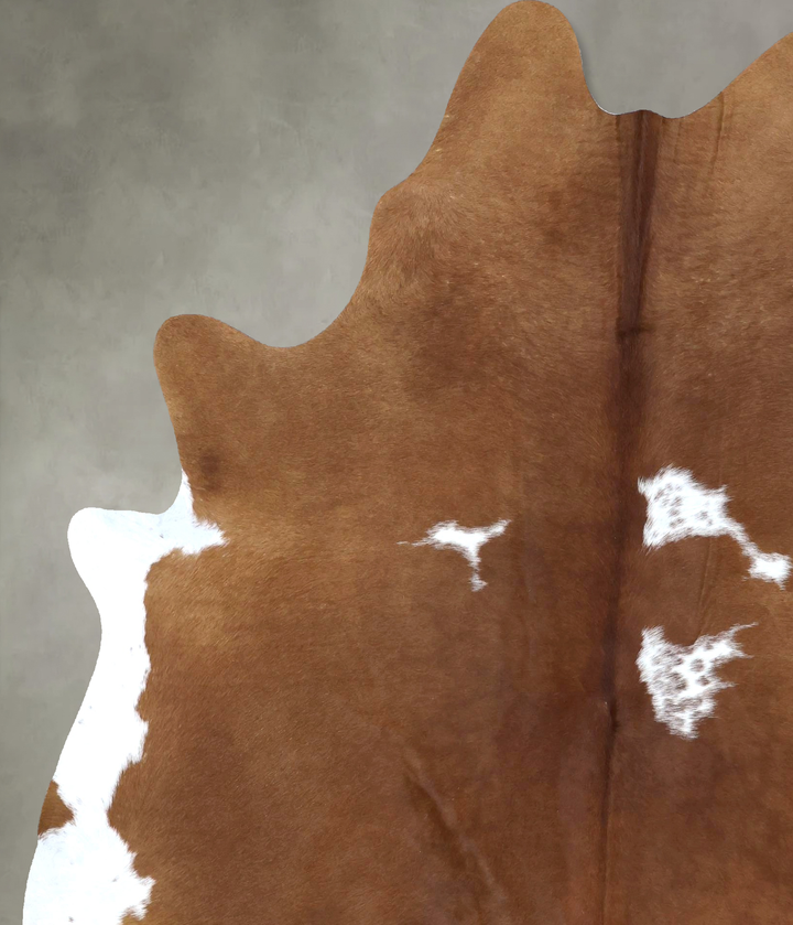 Brown and White XX-Large Brazilian Cowhide Rug 8'0"H x 6'4"W #B20811 by Hudson Hides