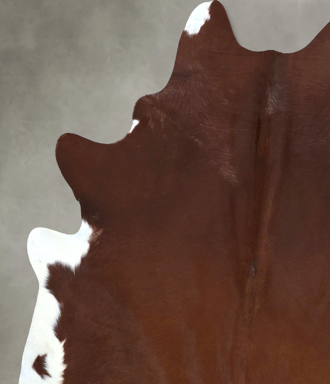 Brown and White Regular XX-Large Brazilian Cowhide Rug 8'0"H x 6'4"W #