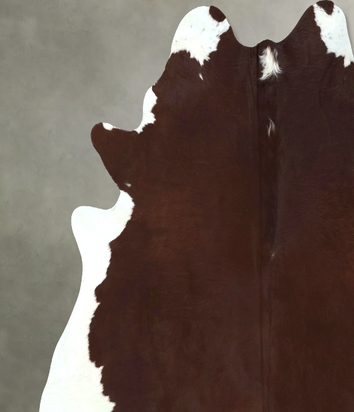 Brown and White Regular XX-Large Brazilian Cowhide Rug 7'8"H x 7'0"W #B20877 by Hudson Hides